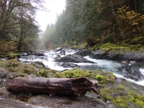 Olympic National Park 
