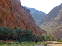 Oman Wadi Shab December  