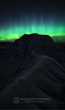 On a late night in the Alberta Badlands the Owls were hootin Coyotes howlin and lady Aurora danced wild across the sky 