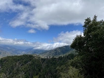 On the trail in the San Gabriel Mountains this morning  x 