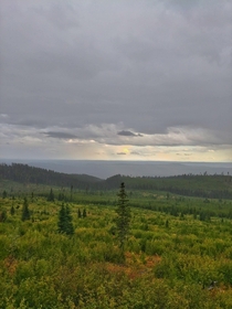 On top of a cut block in the interior plateau of British Columbia 