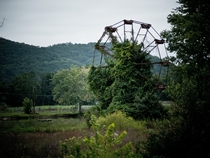 Once a place of laughter and fun now sits in silence slowly decaying Overgrown Ferris Wheel in Cleveland Ohio Photo by Johnny Joo 