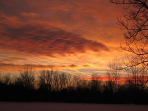 One of my all time favorite sunset shots taken on my property in southern Michigan