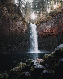 One of my favorite places Abiqua Falls OR  x