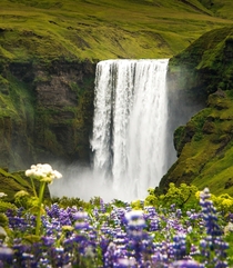 One of my favorite waterfalls - the beautiful Skogafoss in Iceland in summer  - more of my Iceland pics at insta glacionaut