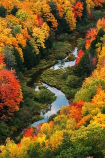 One of the best autumn displays I have seen  years ago in the Porcupine Mountains of Michigan 