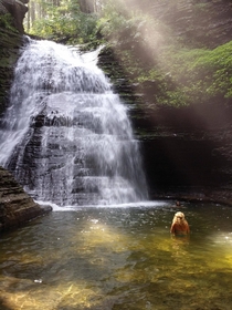 One of the many water falls that sits on private land in the Finger Lakes region of Upstate New York Its one of my favorite places in the world 