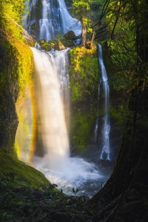 One of the most beautiful waterfalls Ive ever seen in Gifford Pinchot National Forest 