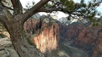 One view from Angels Landing x