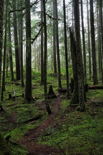 Opal Creek Wilderness in Oregon 