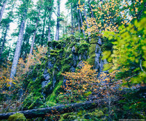 Opal Creek Wilderness Oregon 