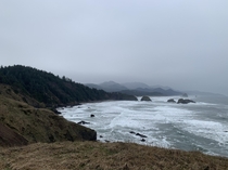 Oregon Coast  x