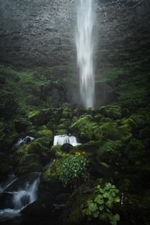 Oregons rd tallest single drop waterfall at ft high- Umpqua NF Oregon US 