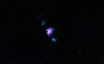 Orion Nebula from my backyard in the city 