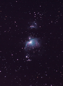 Orion Nebula from my Backyard in the City 