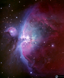 Orion Nebula through my Telescope 