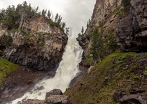 Osprey Falls Yellowstone 