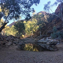 Outback springs South Australia 