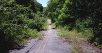 Overgrown back roads in Appalachian Pennsylvania 
