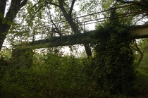 Overgrown bridge in Italy