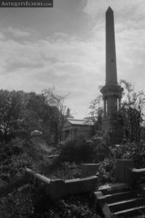 Overgrown Mount Moriah Cemetery - mm Film 