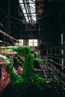 Overgrown nd Level Catwalk inside a Factory 