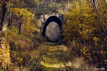 Overgrown Railroad Tunnel in Selisia Poland by Damian Cyfka 