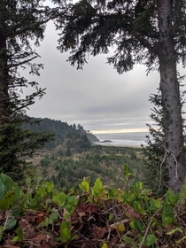 Overlooking Beards Hollow from a lookout in Ilwaco Washington  