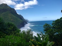 Overlooking Kee beach Kauai Hawaii x 