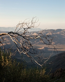 Overlooking the Anza-Borrego Desert 