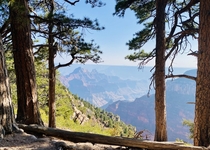 Overlooking the Grand Canyon North Rim Arizona 
