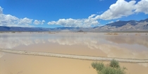 Panamint Valley the day after the rain Death Valley NP May   x