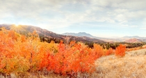 Panorama of Fall Colors at Sunrise in the Portneuf Mountain Range near Pocatello ID 