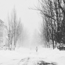 Park Street in Portland Maine Snowpocolypse 