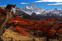 Patagonia Mt Fitz Roy Argentina x