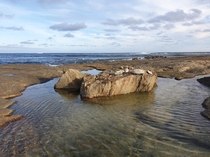 Peaceful Bay Western Australia x