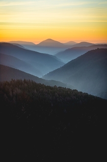 PEACEFUL PALATINATE FOREST  by IG Farbik