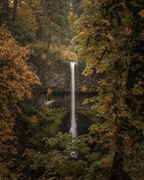 Peak autumn colors are almost upon us Oregon 
