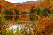 Peak foliage at Belvidere Pond Vermont 
