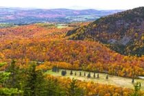 Peak Foliage in NH 