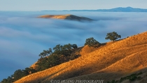 Peek Low Fog Sunrise at San Jose Mountains Santa Clara CA By Jay Huang 