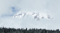 Peeking through the clouds Mount Rainier National Park Washington USA OC 