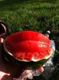 Peeled my melon and it looks like lips 
