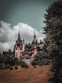 Pele Castel Romania 