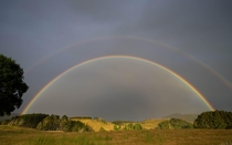 Perfect Rainbow Raglan New Zealand 