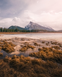 Perfect view of Mount Rundle and Tunnel Mountain from Vermilion Lakes 
