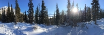 Peter Lougheed Provincial Park Alberta Canada  on a very crisp -C Sunday morning 