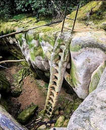 Petrified ladder in France