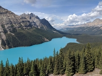 Peyto Lake Banff 