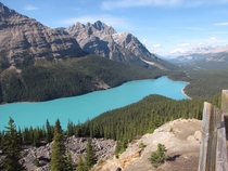 Peyto Lake Banff Alberta Canada 